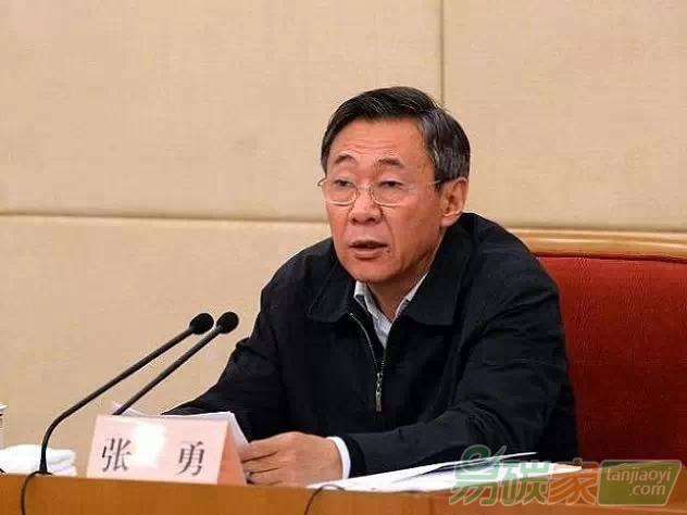 國家發展改革委黨組成員、副主任張勇