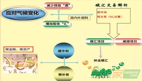 碳市場(chǎng)與林業(yè)碳匯交易關(guān)系示意圖