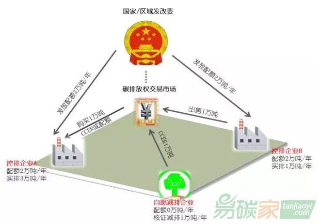 在中國的低碳政策體系中為什么碳交易正在逐漸成為一項關鍵政策的原因有哪些？